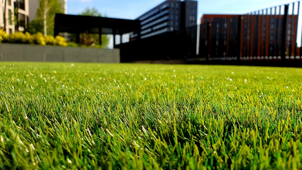 Landscaping